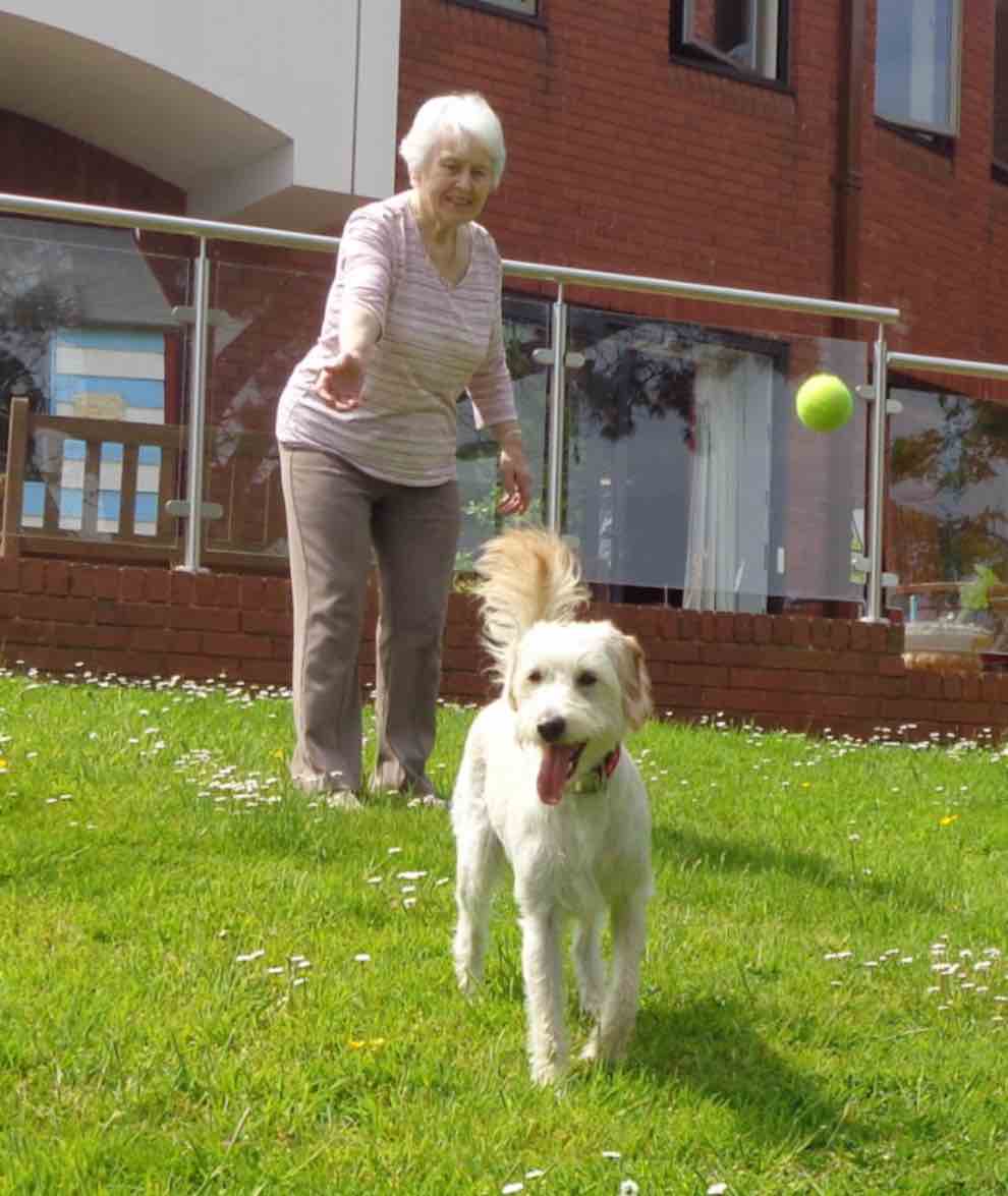 Exeter care home dog has health and wellbeing ‘job